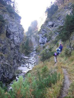 Inn Gasthof Breitenhof Thiersee